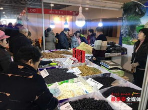 泰安新春年货会购销两旺，年轻消费者青睐酸奶、进口零食与东南亚水果