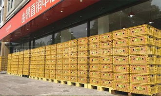 慈溪这家水果店榴莲只要9.9元一斤，又掀起排队热潮！背后竟是果品收购玄机