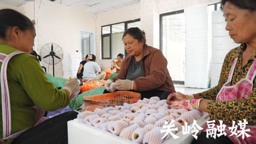 以味蕾连接远山 中航工业的消费帮扶如何让政绩观落地生根